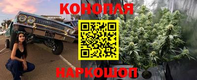 молекула духа Обь
