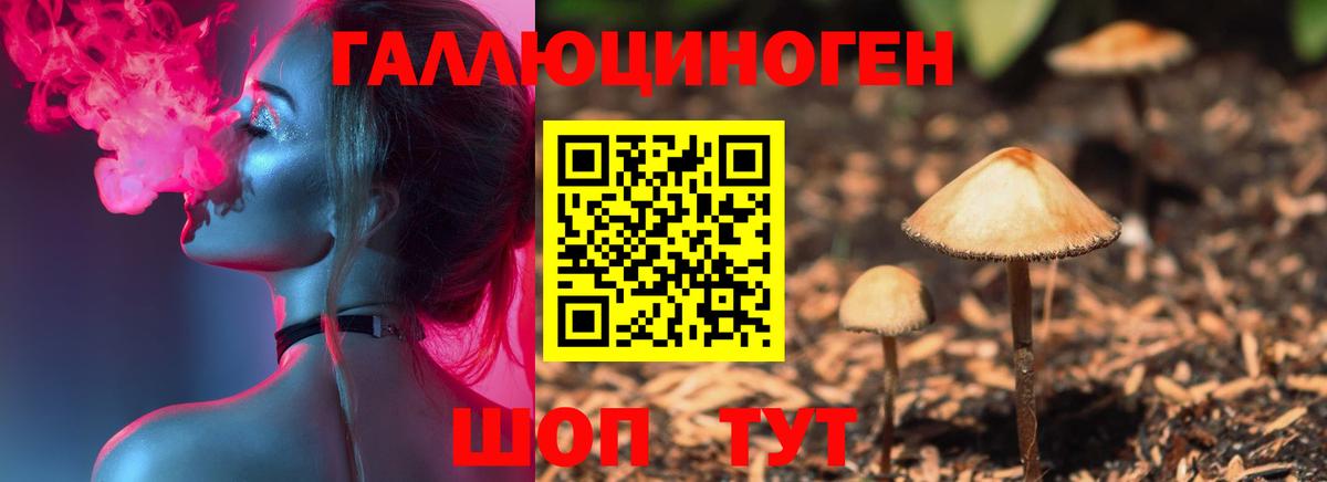 Рубцовск  Галлюциногенные грибы мухоморы  Галлюциногенные грибы Psilocybine cubensis  Вход с VPN 